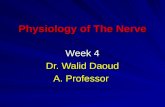 Physiology of The Nerve Week 4 Dr. Walid Daoud A. Professor