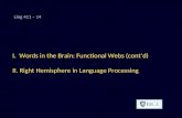 I. Words in the Brain: Functional Webs (cont’d) II. Right Hemisphere in Language Processing Ling 411 – 14.
