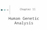 Human Genetic Analysis Chapter 11. Complex inheritance of traits does not follow inheritance patterns described by Mendel.