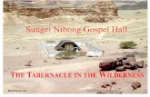 Sungei Nibong Gospel Hall TABERNACLE STUDIES 20 th Mar. 2011 – 1: The Salvation and Sovereignty of Christ. The Concept, Construction and Court Hangings.