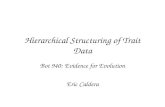Hierarchical Structuring of Trait Data Bot 940: Evidence for Evolution Eric Caldera.