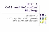 Unit 1 Cell and Molecular Biology Section 2 Cell cycle, cell growth and differentiation.