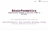 Www..uni-rostock.de Bioinformatics Computational methods to discover ncRNA in bacteria Ulf Schmitz ulf.schmitz@informatik.uni-rostock.de Bioinformatics.