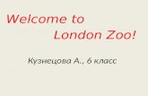 Welcome to London Zoo! Кузнецова А., 6 класс. This is the oldest zoo and we can see it on the map.