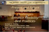 The Patent Lawyers Club of Washington May 29, 2008 1 Michael R. Fleming Chief Administrative Patent Judge Board of Patent Appeals and Interferences 571-272-9797.
