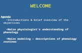 WELCOME Agenda Introductions & brief overview of the objectives Maize physiologist’s understanding of phenology Maize modeling – descriptions of phenology.