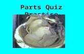 Parts Quiz Practice. This space that you see when you open the clam’s shell is the ______________ mantle cavity.