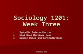 Sociology 1201 Sociology 1201: Week Three 1. Symbolic Interactionism 2. What Does Marriage Mean 3. Gender Roles and Contradictions.