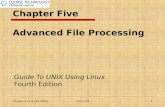 Chapter Five Advanced File Processing Guide To UNIX Using Linux Fourth Edition Chapter 5 Unix (34 slides)1 CTEC 110.