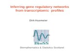 Inferring gene regulatory networks from transcriptomic profiles Dirk Husmeier Biomathematics & Statistics Scotland.