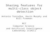 Sharing features for multi-class object detection Antonio Torralba, Kevin Murphy and Bill Freeman MIT Computer Science and Artificial Intelligence Laboratory.