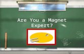 Are You a Magnet Expert? Vocabulary Will They Attract? Name That Magnet! Magnetic Care Magnetic Attraction.