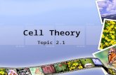 Cell Theory Topic 2.1. Assessment Statements 2.1.2 Outline the cell theory. 2.1.2 Discuss the evidence for the cell theory 2.1.3 State that unicellular.