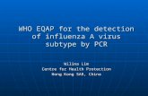 WHO EQAP for the detection of influenza A virus subtype by PCR Wilina Lim Centre for Health Protection Hong Kong SAR, China.