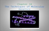 Chapter 14 The Techniques of Molecular Genetics © John Wiley & Sons, Inc.