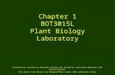 Chapter 1 BOT3015L Plant Biology Laboratory Presentation created by Danielle Sherdan and edited by Jean Burns-Moriuchi and William Outlaw All photos from.