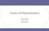 Types of Reproduction Asexual Sexual. Heredity Table of Contents 7.4.1 Notes Asexual Reproduction Tree Map.