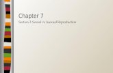 Section 2: Sexual vs Asexual Reproduction Chapter 7.
