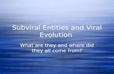 Subviral Entities and Viral Evolution What are they and where did they all come from?