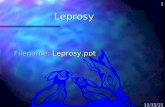 1 10/20/2015 Leprosy Filename: Leprosy.ppt. 2 10/20/2015 Outline n Organism n Clinical findings n Diagnosis n Treatment n Epidemiology n Prevention and.