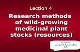 Lection 4 Lection 4 Research methods of wild-growing medicinal plant stocks (resources) Authors as.- prof. Kernychna I.Z. Authors as.- prof. Kernychna.