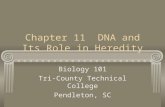 Chapter 11 DNA and Its Role in Heredity Biology 101 Tri-County Technical College Pendleton, SC.