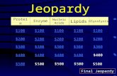 Jeopardy Protein Structure Enzymes Nucleic Acids Lipids Glycolysis $100 $200 $300 $400 $500 $100 $200 $300 $400 $500 Final Jeopardy.