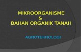 MIKROORGANISME & BAHAN ORGANIK TANAH AGROTEKNOLOGI.