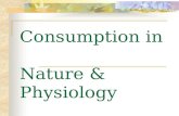 Consumption in Nature & Physiology. Introduction Discussion on consumption regulation in nature (either plants or animals) inspiring exmaples about consumption.