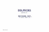 10/20/2015 DOLPHINS CREATED BY : NATASHA RAY, 2 ND GRADE, ROOM C-20.