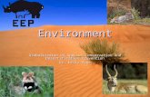 Environment Globalization of Species Conservation And Desertification Prevention By: Emily Pope.