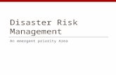 Disaster Risk Management An emergent priority Area.