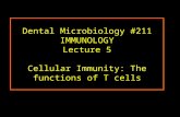 Dental Microbiology #211 IMMUNOLOGY Lecture 5 Cellular Immunity: The functions of T cells.