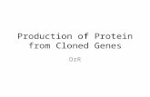 Production of Protein from Cloned Genes OrR. Why you need to express protein via cloned genes?