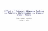 Effect of Internal Nitrogen Cooling on Moisture Distribution in Cheddar Cheese Blocks Christopher Jackson Class of 2005.