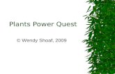 Plants Power Quest © Wendy Shoaf, 2009. Life Cycle 2  Click here to answer questions 1-4 on your answer sheet.here.