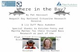 Where in the Bay? By Pat Harcourt Waquoit Bay National Estuarine Research Reserve & Liz Duff Mass Audubon Special thanks to Kristen Ferry and Martha Mather.