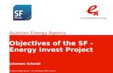 Austrian Energy Agency Austrian Energy Agency | 20/10/15 | Seite 1 Objectives of the SF - Energy Invest Project Johannes Schmidl.