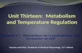 Chapter 67: Metabolism of Carbohydrates, and Formation of ATP Guyton and Hall, Textbook of Medical Physiology, 12 th edition.