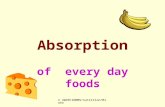 © UWCM/SONMS/nutrition/MJohn Absorption of every day foods.