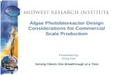 Serving Clients One Breakthrough at a Time Algae Photobioreactor Design Considerations for Commercial Scale Production Presented by: Greg Karr.