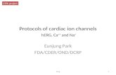 Protocols of cardiac ion channels hERG, Ca ++ and Na + Eunjung Park FDA/CDER/OND/DCRP herg1 CIPA project.
