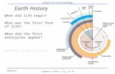 Georgia Tech School of Biology Bio@Tech Earth History When did life begin? What was the first form of life? When did the first eukaryotes appear? MinuteEarth: