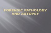 Field of Medicine concerned with identifying disease  Forensic Pathology – subspecialty of pathology concerned with identification of human remains.