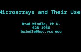 Microarrays and Their Uses Brad Windle, Ph.D. 628-1956 bwindle@hsc.vcu.edu.