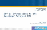 DEV-6: Introduction to the OpenEdge ® Advanced GUI Jim Lundy Principal Product Manager.