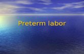 Preterm labor. Preterm termination of pregnancy Abortion: …22 week of gestation Abortion: …22 week of gestation Premature labor [PTL]: Premature labor.