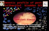 Uroepithelial carcinomas Imad Fadl-Elmula Symposium on: Advances in Parasitology “Education and Research in Parasitology in the service of Mankind “ Genetic.