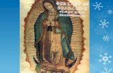 Our Lady of Guadalupe The Events  Who: Juan Diego & Mary  What: Miraculous image of Mary  When: December 1531  Where: Mexico – though some say Spain.