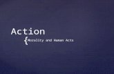 { Action Morality and Human Acts.  Human acts are done with intellect, will, knowledge and consent Human Acts.